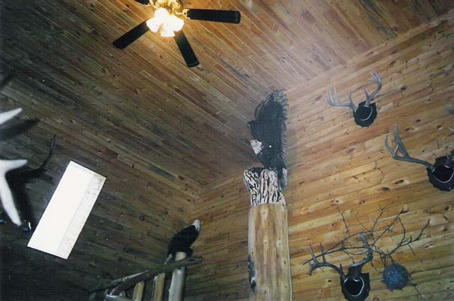 Eagle Inside Cabin